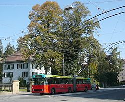 trolleybus des TPB