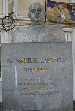 Buste de Vasile Lucaciu à  Baia Mare.