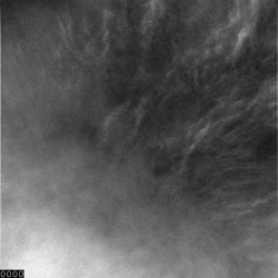 Nuages de glace d'eau dans le ciel de Vastitas Borealis vus par la sonde Phoenix le 29 août 2008.