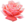 Extracted pink rose.png