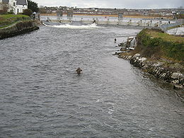 Vue du Corrib depuis le Salmon Weir Bridge à Galway