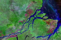 Vue prise par satellite de l'embouchure des fleuves Amazone et Tocantins, séparés par l'île de Marajó.