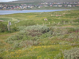 Panorama de Vadsø.
