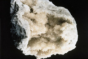 Colémanite