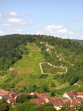 Le village et ses vignes