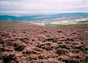 Image illustrative de l'article Parc national d'Exmoor