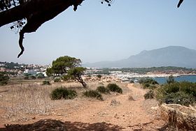 Tipaza