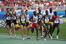World athletics final Stuttgart 2007 1500m.jpg