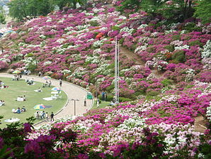 Nishiyama Park.JPG