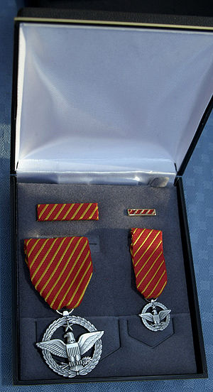 Air Force Combat Action Medal set.jpg