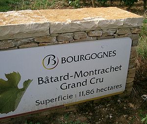 Bâtard-Montrachet (Bourgogne).JPG