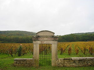 Clos Latriciere Chambertin.JPG