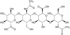 Hyaluronate de sodium