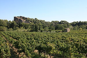 Rocher et vignes, beaumes de venise by JM Rosier.JPG