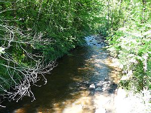 La Rouanne en amont du pont des Rasclies à Dampniat