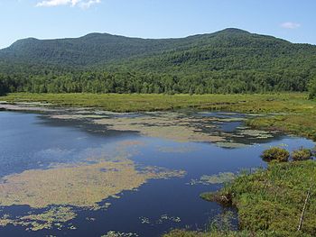 2007-07 Parc du Mont-Orford - Étang Fer-de-lance.jpg