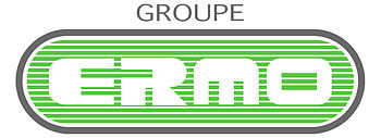 Logo de ERMO Group