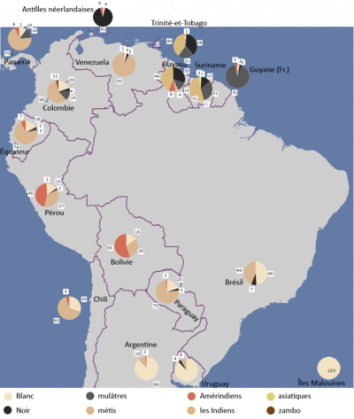 La composition raciale de la population de l'Amérique du Sud.gif