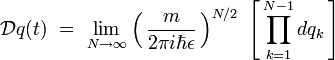 \mathcal{D}q(t) \ = \ \lim_{N\to\infty} \left( \, \frac{m}{2 \pi i  \hbar \epsilon} \, \right)^{N/2} \ \left[ \, \prod_{k=1}^{N-1} dq_k \, \right]
