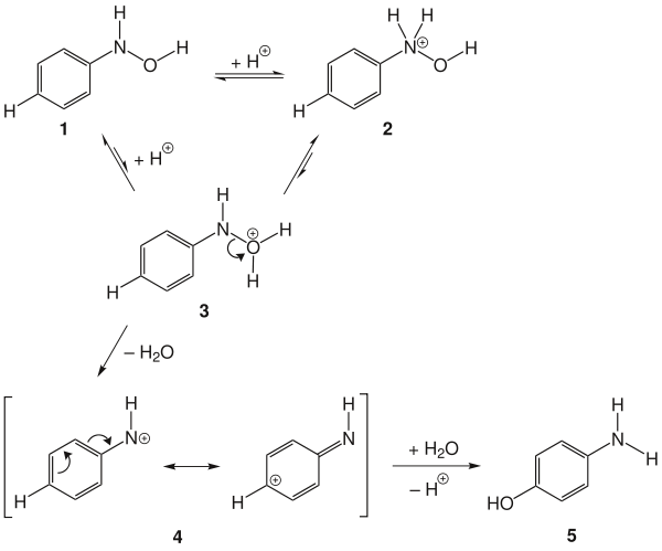 Mécanisme du réarrangement de Bamberger.