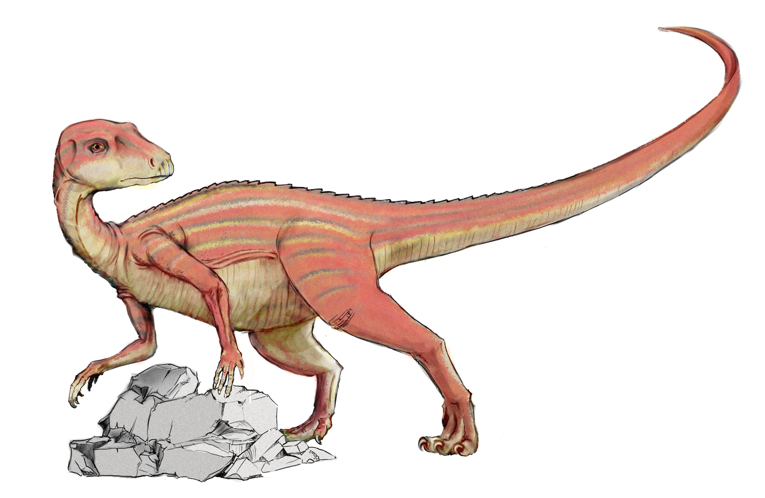 Dinosaurios Dinosaurios