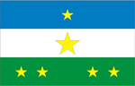 Bandeira Rorainopolis.jpg