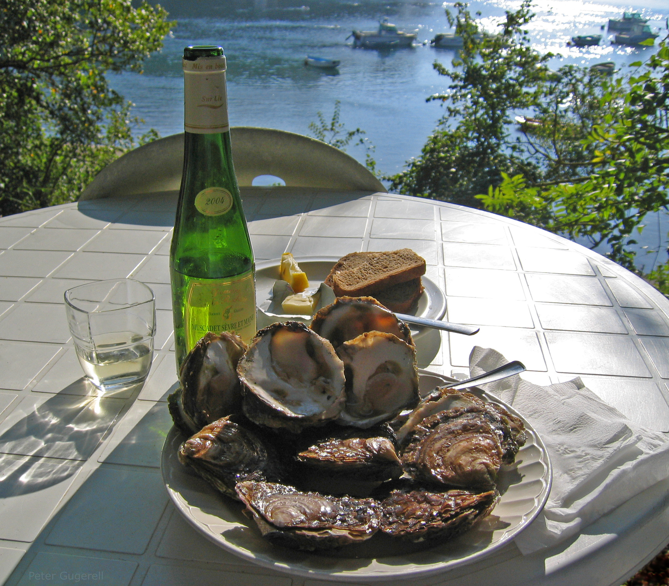 Belon_oysters_at_Belon_river,_France_.jpg