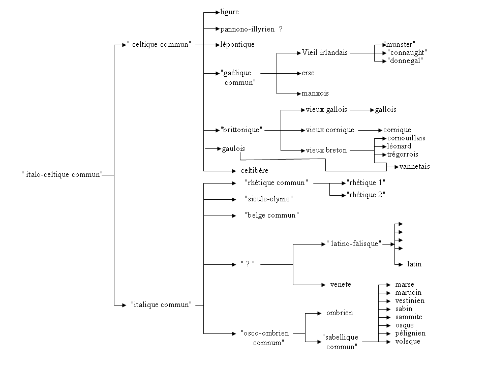 Branche indo-europeenne italo-celtique.png
