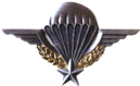 brevet parachutiste de l'armée française