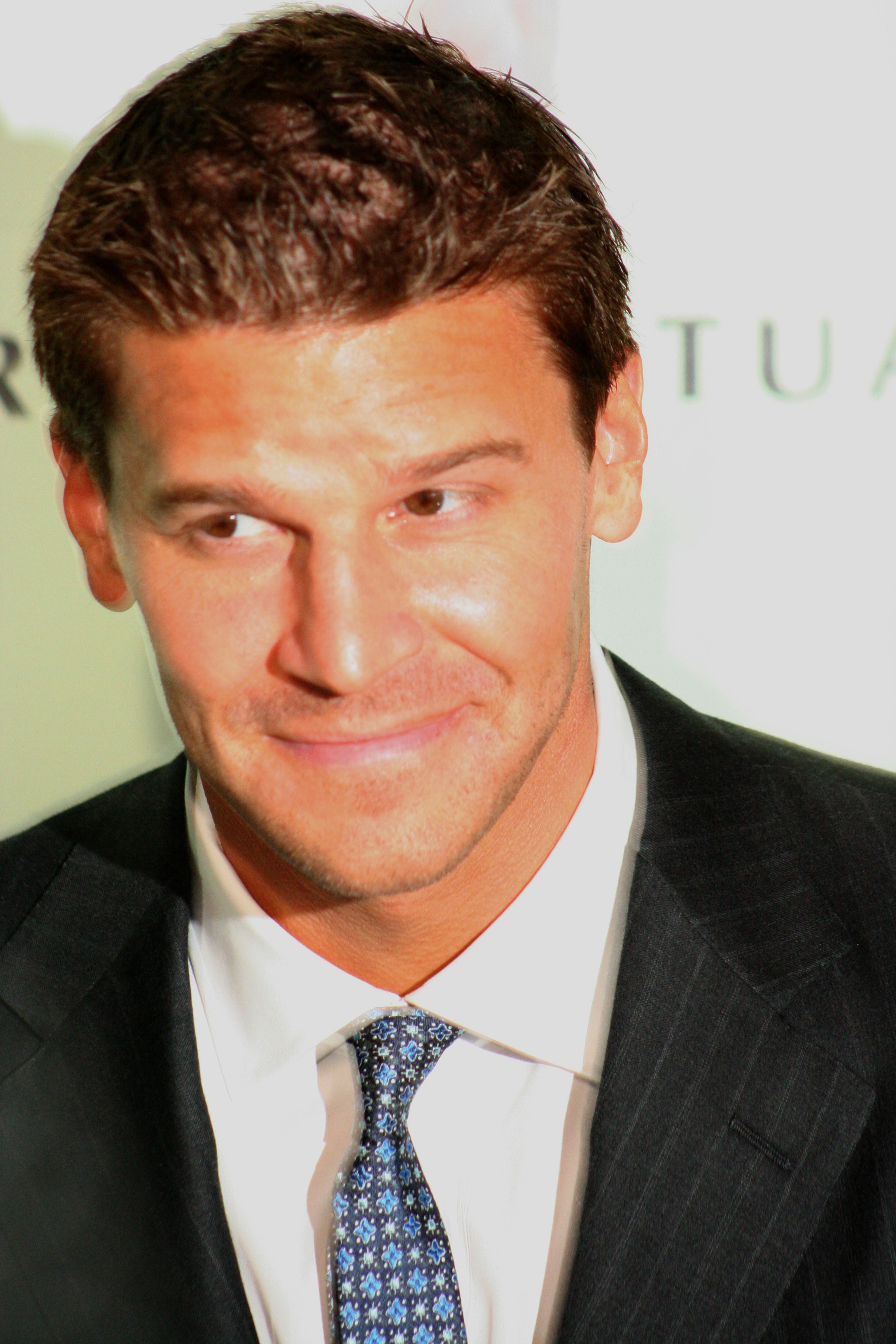 http://fr.academic.ru/pictures/frwiki/68/David_Boreanaz_May_2006_suit_and_tie_2.jpg