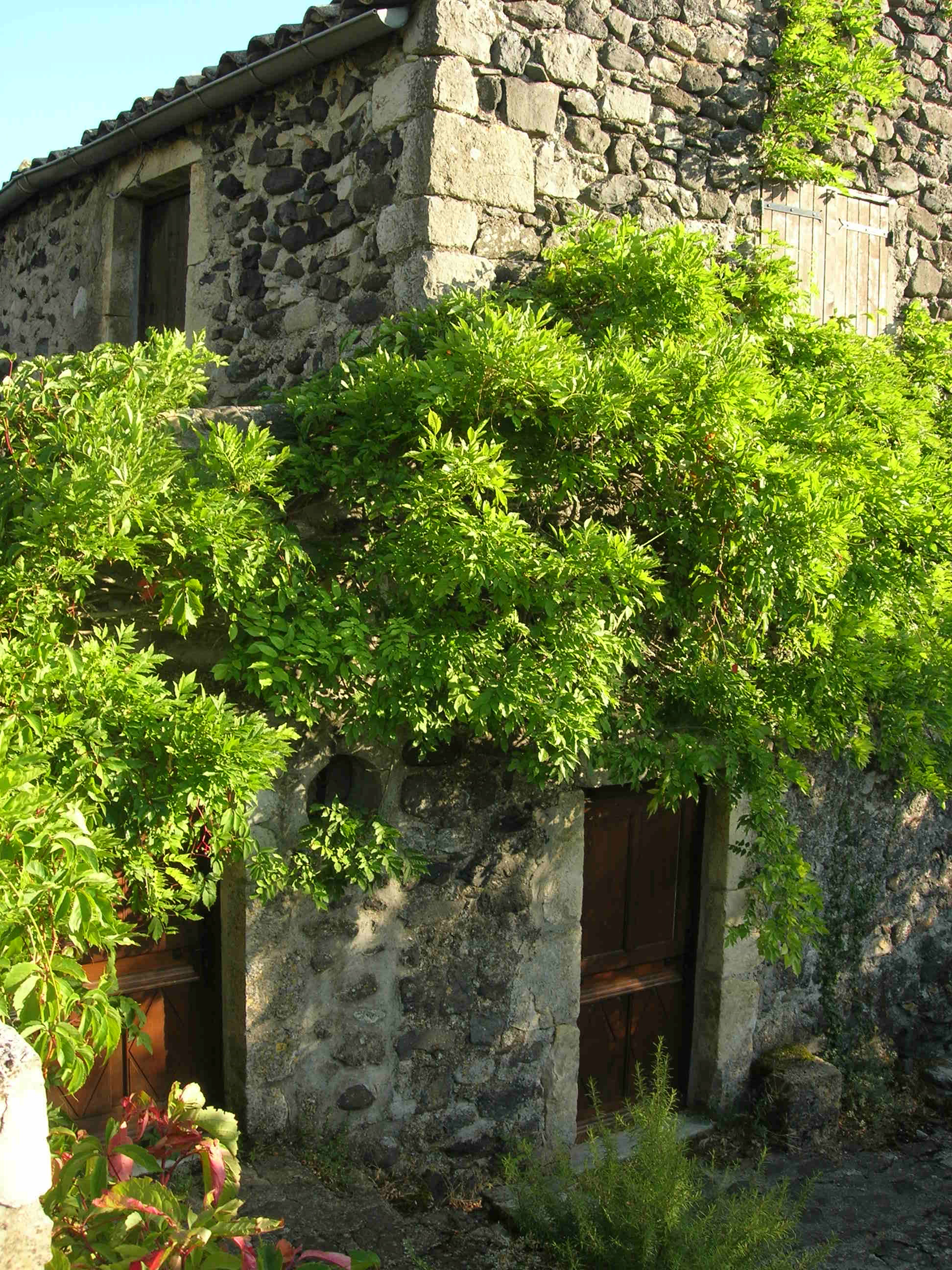 rencontres musique irlandaise tocane