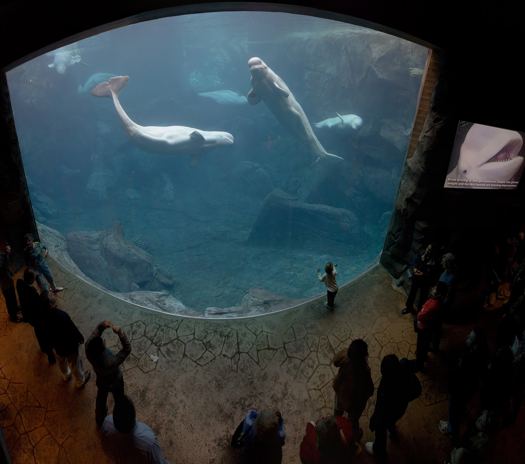 Хочу там побывать!:) Гигантский аквариум!