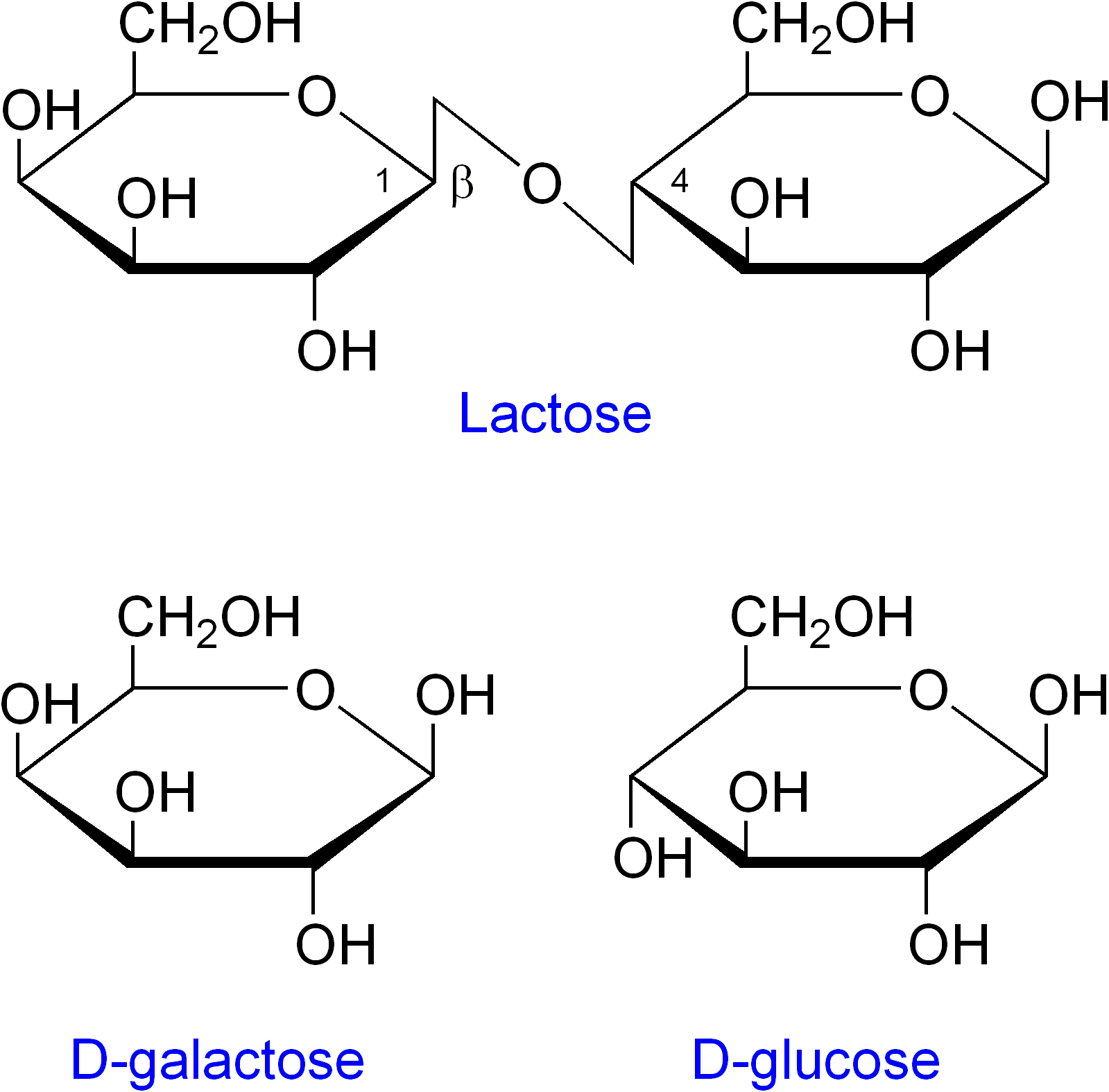 Lactose_etc.png