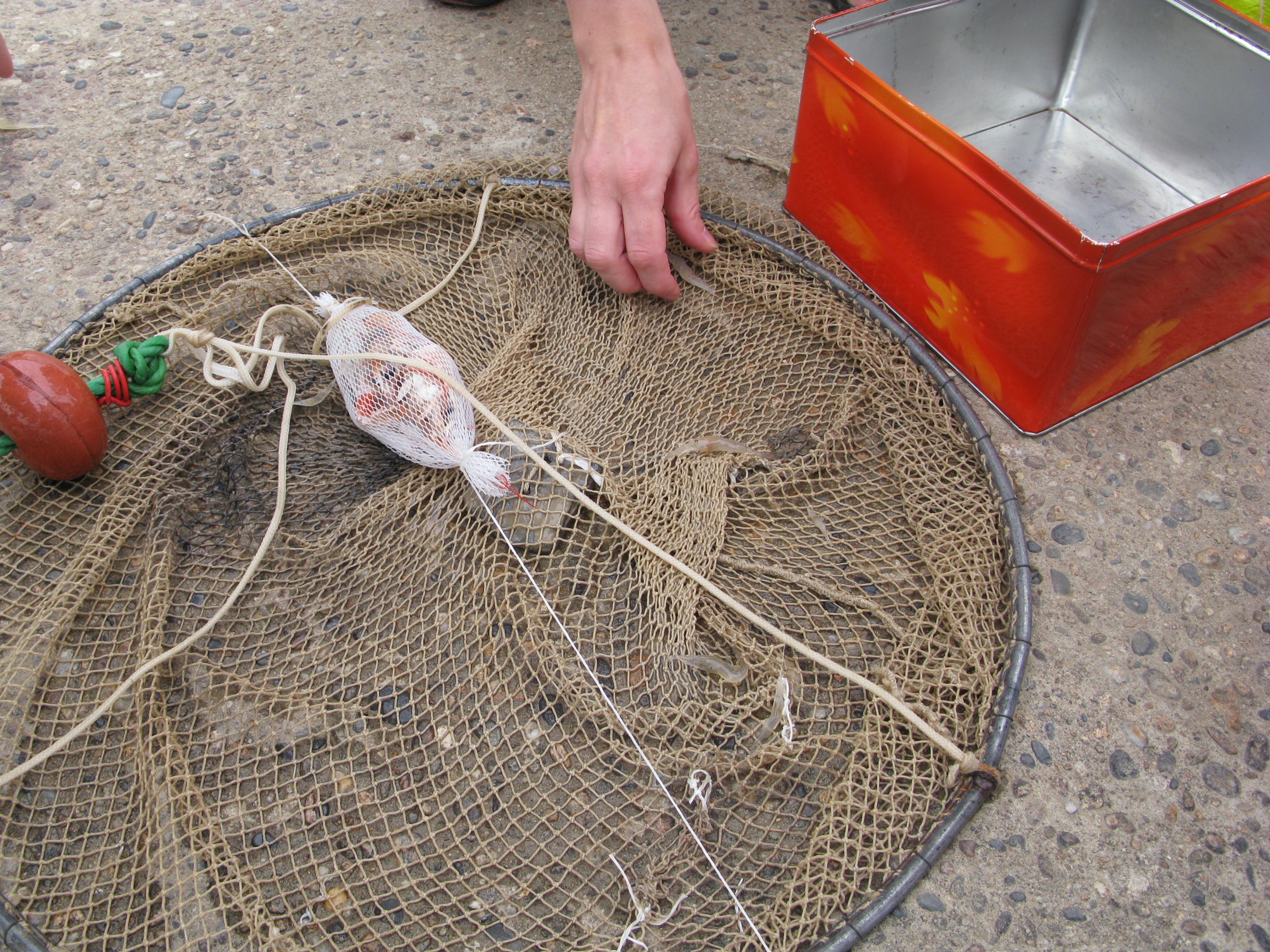 Télécharger torrent le jeu la pêche à la mer