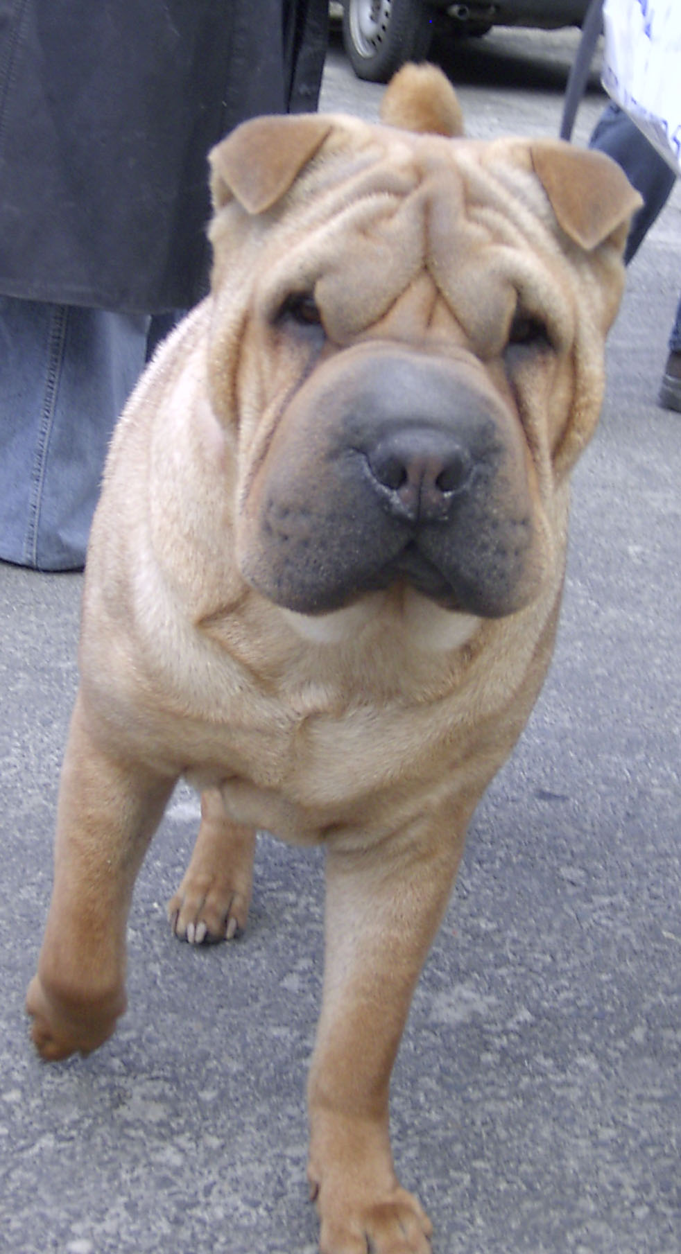 Rencontre pei