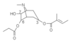 3-tigloyloxy-6-propionyloxy-7-hydroxytropane.png