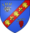 Blason ville fr Clery-Saint-Andre (Loiret).svg