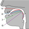 Cardinal vowel tongue position-back(png).svg