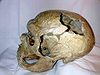 Neandertal skull from la chapelle aux saints.jpg