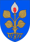 Blason de Hamina