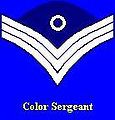 COLOR-SGT-inf.jpg