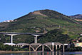 Douro3.jpg