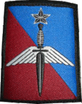 Insigne de La Brigade des forces spéciales terre.gif