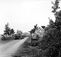 Sherman tanks of the Irish Guards Group.jpg
