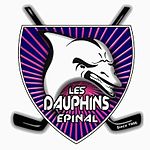 Accéder aux informations sur cette image nommée Logo Dauphins d'Epinal 2009.jpg.