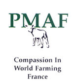 PMAF logo.jpg