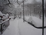 Prospect Heights Blizzard NYC 2-12-06.jpg