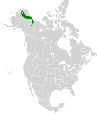 Brooks-British Range tundra map.svg