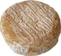 Cheese-picodon.png