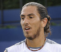 Guillermo Cañas US Open 08.jpg